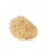 Pack 2 esponjas natural Jané