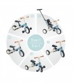Triciclo evolutivo Gyro Olmitos