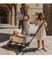 Carrito de playa plegable niños Espiro Suvi