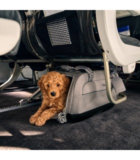 Sistema de transporte mascotas Tavo Dupree