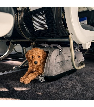 Sistema de transporte mascotas Tavo Dupree