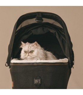 Silla de coche para mascotas Tavo Maeve S Flex