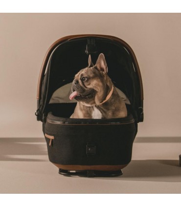 Cochecito para mascotas Maeve S + Roscoe Onyx Tavo