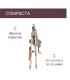 Trona Chicco Polly Essential