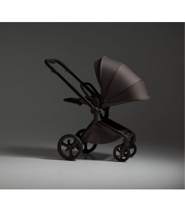 Carrito de bebé Anex Flo duo