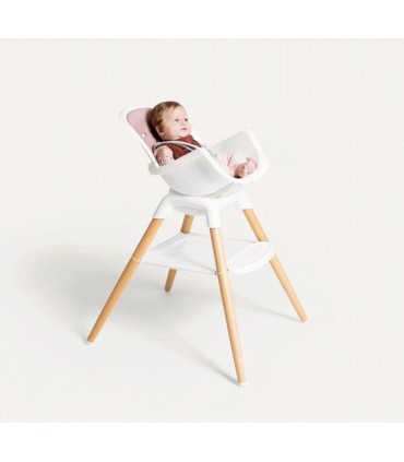 Trona Multimodo Joie Chestnut