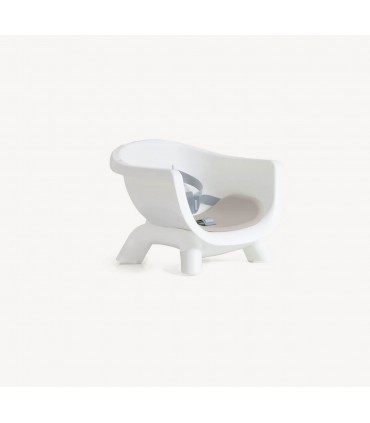 Trona Multimodo Joie Chestnut