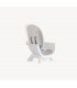 Trona Multimodo Joie Chestnut